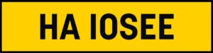 " HA LOSE " ( HA10 SEE  )
