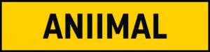 " ANIMAL " ( AN11 MAL )