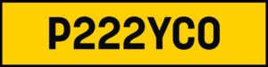 P222YCO (PYSCHO)