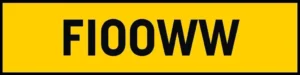 " FLOW " ( F10 OWW )