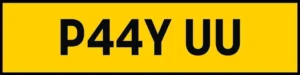 " PAY YOU " ( P44 YUU )
